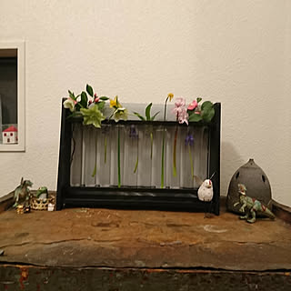 棚/ふるいもの/試験管たて/でかい花器の後ろに隠れてたもの達の出現のインテリア実例 - 2018-03-19 20:12:21