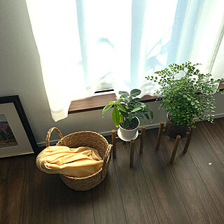 植物も日向ぼっこ/植物のある暮らし/窓辺のインテリア/部屋全体のインテリア実例 - 2023-02-14 11:42:42