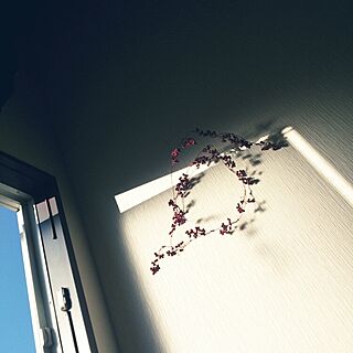 壁/天井/ガーランド/階段の窓のインテリア実例 - 2014-11-06 08:54:47
