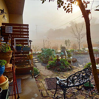 机/ガーデン/花のある暮らし/庭のある暮らし/やすらぐ空間...などのインテリア実例 - 2021-02-02 17:05:28
