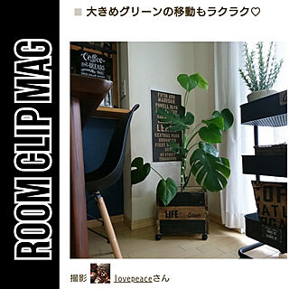 リビング/Room Clip Mag/RCの出会いに感謝♡/いいね、フォロー本当に感謝です♡/犬と暮らす家...などのインテリア実例 - 2019-10-15 13:54:33