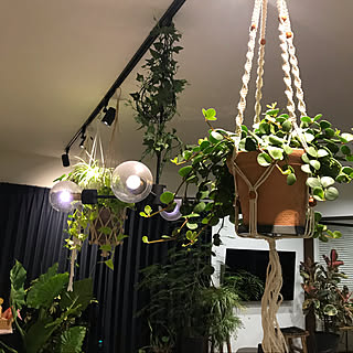 マクラメハンギング/創建ホーム/観葉植物/NO GREEN NO LIFE/部屋全体のインテリア実例 - 2020-09-05 20:39:35