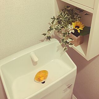 バス/トイレのインテリア実例 - 2017-06-03 23:28:58