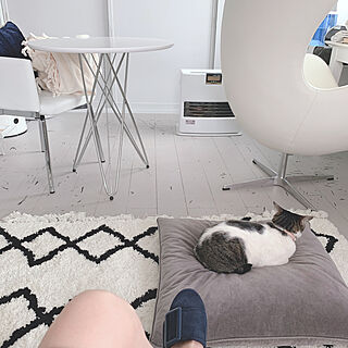 IKEA/猫と暮らす/棚ではありません/ものを増やさない/2020/10/4☁...などのインテリア実例 - 2020-04-11 11:28:23