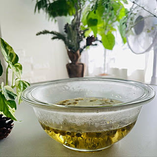 薬草/ハーブのある暮らし/グリーンのある暮らし/アロマのある暮らし/カフェ風...などのインテリア実例 - 2022-11-16 11:46:42