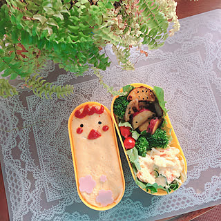 弁当/カフェ風/ナチュラル/観葉植物/食卓...などのインテリア実例 - 2019-06-02 20:21:53