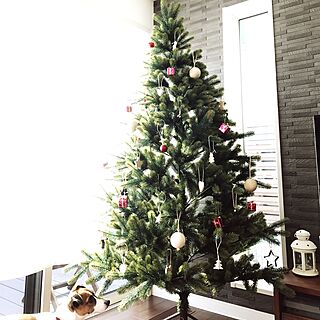 リビング/クリスマスツリー/IKEA/エコカラットの壁/FIX窓...などのインテリア実例 - 2016-12-18 10:41:38