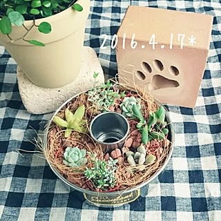 多肉植物/小さなベランダガーデン/少しずつ進んでます/ねこ/ワイヤープランツ...などのインテリア実例 - 2016-04-17 09:54:16