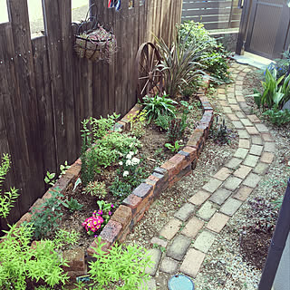 北側の庭/シェードガーデン/緑のある暮らし/DIY/踏み石...などのインテリア実例 - 2019-04-23 23:59:12