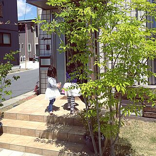 玄関/入り口/植物のインテリア実例 - 2016-05-05 10:45:36