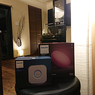 玄関/入り口/Philips Hue/Hue Go/Hue Bluetoothのインテリア実例 - 2020-08-21 20:14:28