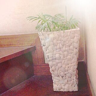 玄関/入り口/階段踊り場/観葉植物のインテリア実例 - 2013-09-15 01:13:11