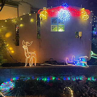 クリスマスイルミネーション/クリスマス/ガーデン/玄関/入り口のインテリア実例 - 2022-11-26 07:03:05