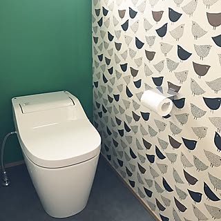 バス/トイレ/パナソニックトイレ/アラウーノ/トイレの壁/トイレ...などのインテリア実例 - 2017-06-13 15:25:06