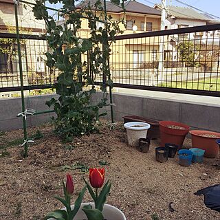 玄関/入り口/手作り/家庭菜園/かわいい♡のインテリア実例 - 2017-04-04 14:20:44