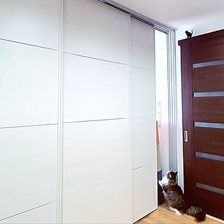 部屋全体/縦長のお部屋レイアウト/間仕切り扉/猫/猫のいる風景...などのインテリア実例 - 2023-05-06 06:10:44