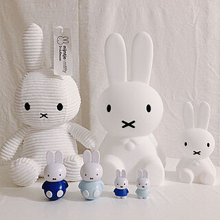 家電/miffy/一人暮らし/寝室/冬...などのインテリア実例 - 2020-12-10 23:07:38