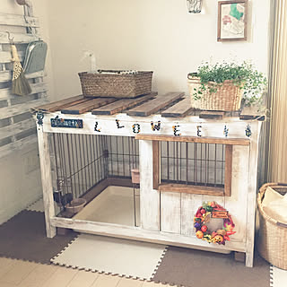 犬小屋diyのインテリア 手作りの実例 Roomclip ルームクリップ 犬小屋diyのインテリア 手作りの実例 Roomclip ルームクリップ