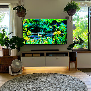 IKEA 雑貨/ラグマット/観葉植物/BESTÅ ベストー/フロートテレビボード...などのインテリア実例 - 2023-06-07 12:07:25