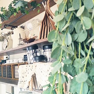 壁/天井/ユーカリ/カフェ風を目指して♪/セリア/DIY...などのインテリア実例 - 2016-10-04 07:50:20