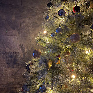 クリスマス/クリスマスツリー150cm/スノーツリー/エコカラットプラス/ラフセメント...などのインテリア実例 - 2022-11-05 23:19:45