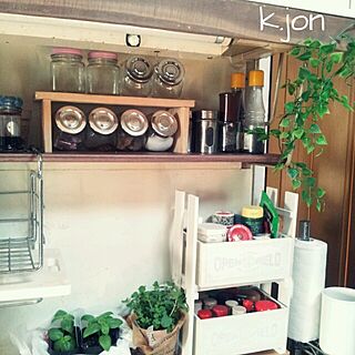 キッチン/団地/植物/DIY/フェイクグリーン...などのインテリア実例 - 2014-04-01 16:46:09