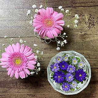 花瓶♡/花のある風景/庭の花を生ける/花のある暮らし♡/庭の花たち...などのインテリア実例 - 2021-06-22 23:46:39