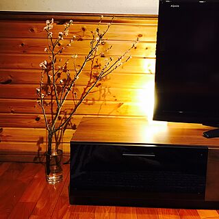壁/天井/テレビボード横/桜の切り花のインテリア実例 - 2017-04-02 20:03:53