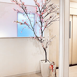 廊下/桜/置物飾り/猫オブジェ/部屋全体のインテリア実例 - 2022-03-31 16:35:37