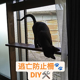 壁/天井/猫逃亡防止/DIY/男前/LABRICO IRON...などのインテリア実例 - 2021-04-01 15:11:46