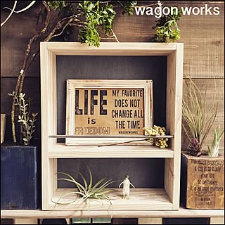 棚/RC愛知/RC名古屋/IG→wagonworks/wagonworks...などのインテリア実例 - 2015-07-29 12:38:27