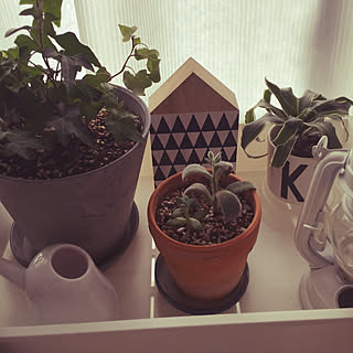 二人暮らし/植物ワゴン/観葉植物/海外インテリアに憧れる/インスタ→marikaoruhome...などのインテリア実例 - 2017-11-19 10:37:45