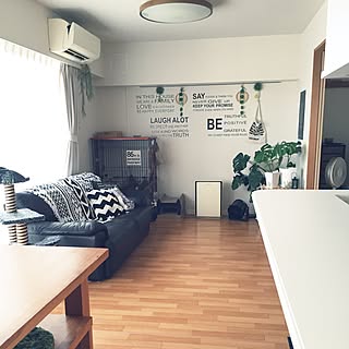 部屋全体/ゲージ/キャットタワー/観葉植物のある部屋/ウォールステッカー...などのインテリア実例 - 2016-08-05 14:53:16