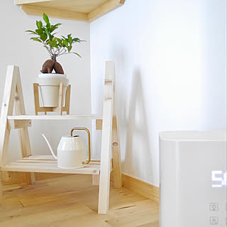 IKEAのじょうろ/じょうろ/IKEA/無垢床/北欧...などのインテリア実例 - 2018-12-05 20:48:08