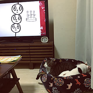 リビング/多頭飼い/ジョイントマット木目調/懐かしの..../テレビは気にしないで...などのインテリア実例 - 2017-11-18 20:32:27