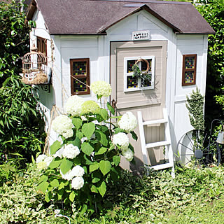 HB Garden/HB庭/あじさい/小屋DIY /ガーデンシェッド...などのインテリア実例 - 2019-08-07 09:51:44