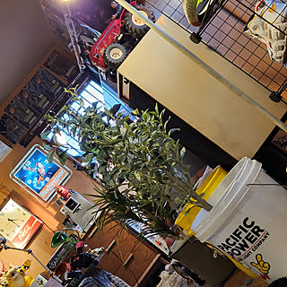 部屋全体/音楽/O型丸出しやけど。/趣味部屋という名の物置部屋/趣味部屋のある暮らし...などのインテリア実例 - 2022-11-10 16:35:28