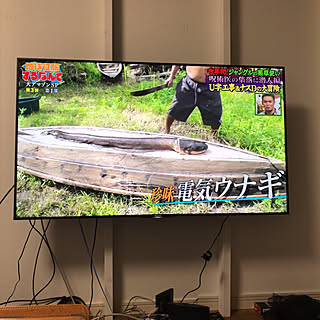 55型/テレビ/2x4/金具/DIYのインテリア実例 - 2017-10-14 19:20:32