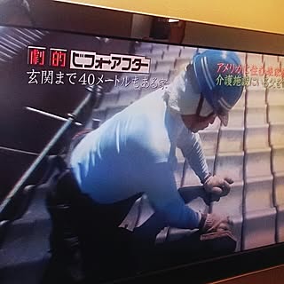 壁/天井/インテリア関係ありませんが…/どうでもいい情報/テレビに出ちゃいました!!のインテリア実例 - 2014-05-17 19:38:57