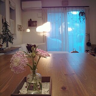 IKEAのダイニングテーブル/室内グリーン/朝日/IKEA/リビングのインテリア実例 - 2014-01-24 07:33:35