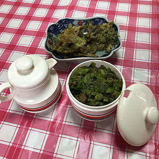 昭和の入れ物/ふきのとうの天ぷら/ふきのとう味噌/昭和レトロ/キッチンのインテリア実例 - 2021-04-17 12:06:48