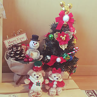 ミッキー&ミニー 二個セット クリスマスオーナメント ディズニーランド