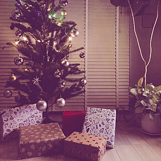 観葉植物/IKEA/クリスマス/男の子/クリスマスツリー...などのインテリア実例 - 2020-04-10 14:01:58