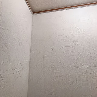 壁DIY/トイレの壁/うまくぬれーる/スルーしてね/見てくれてありがとう♡...などのインテリア実例 - 2019-11-29 21:03:42