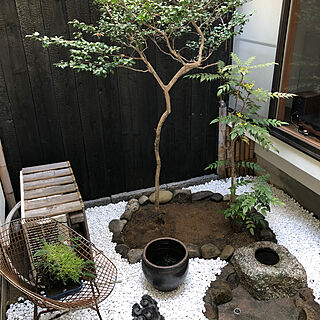 日本庭園/DIY/バス/トイレのインテリア実例 - 2023-05-07 09:52:46