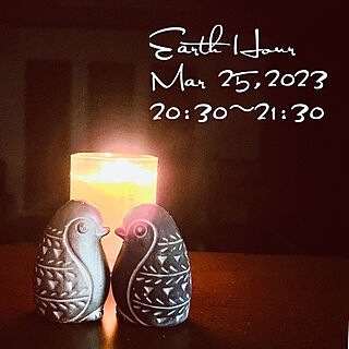Earth Hour 2023/フェアートレード/テラコッタのペンギンさん/Peaple tree/リビングのインテリア実例 - 2023-03-25 20:49:43