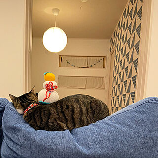 お気に入りの場所/ソファーと猫/IKEA 照明/こんな写真でごめんなさい！/忙しい日々...などのインテリア実例 - 2021-12-12 22:05:45