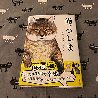 机/猫/クッキーさん/泣けた(´༎ຶོρ༎ຶོ`)のインテリア実例 - 2018-07-16 21:43:19