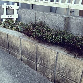 玄関/入り口/ワイヤープランツ/ガーデンサインのインテリア実例 - 2013-01-31 15:52:19