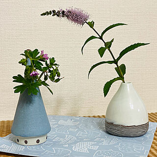 野の花/花瓶/キッチンのインテリア実例 - 2023-03-01 14:27:07